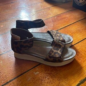 Pierre dumas platform dress shoes